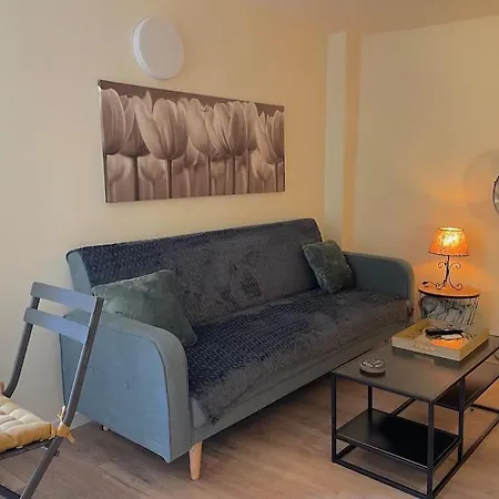 Tilley Lounge Tiny House 펜션