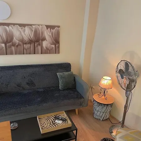 Tilley Lounge Tiny House 펜션